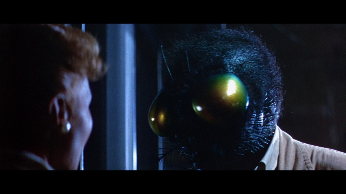 the fly returns